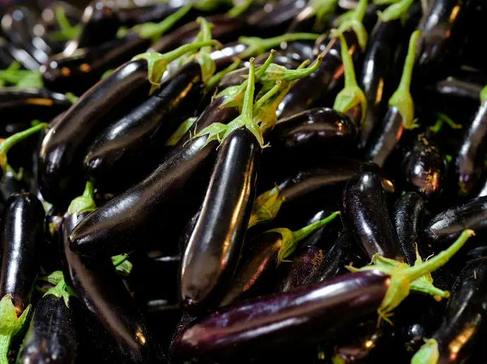 a pile of purple eggplant with green stems