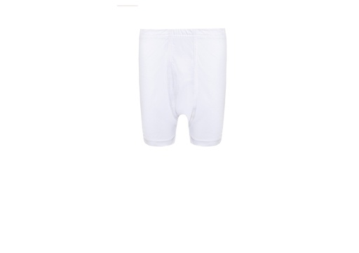 [0650] Short White